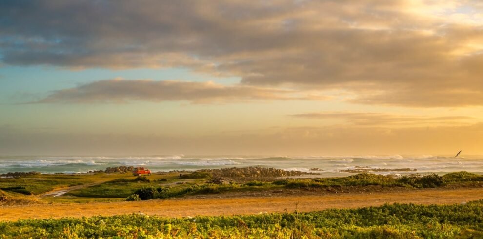 South Afric 3 990x490