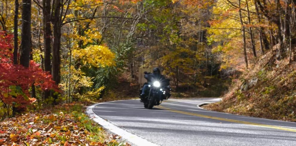 Tail Of Dragon 3 990x490